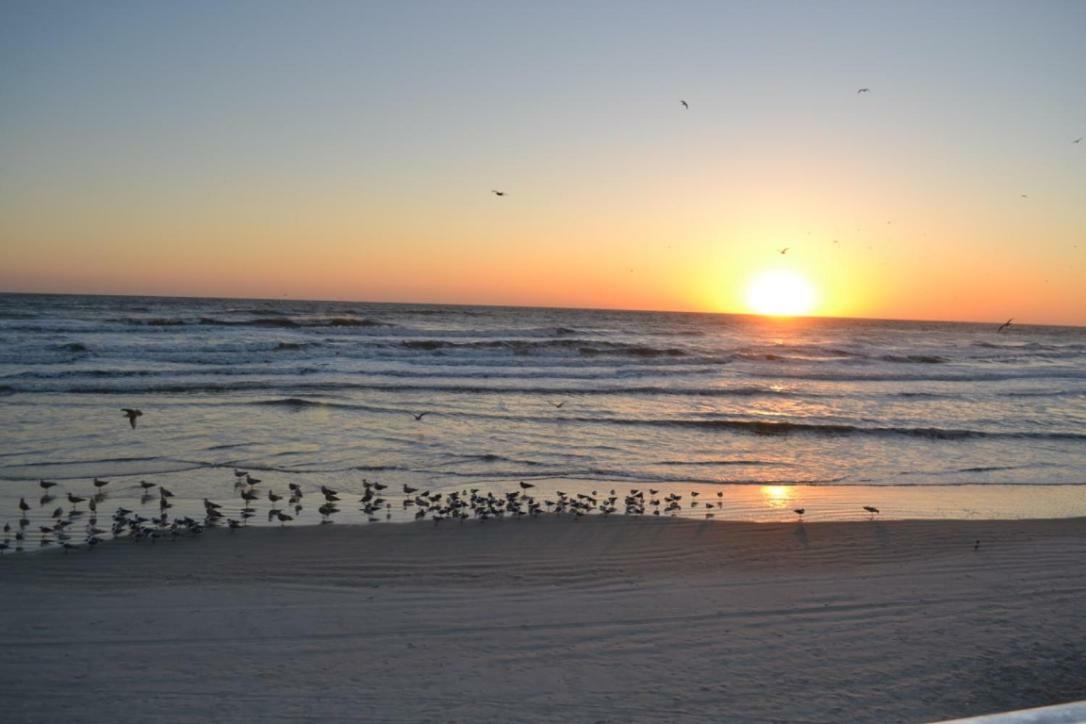 Daytona With Beautiful Ocean View *