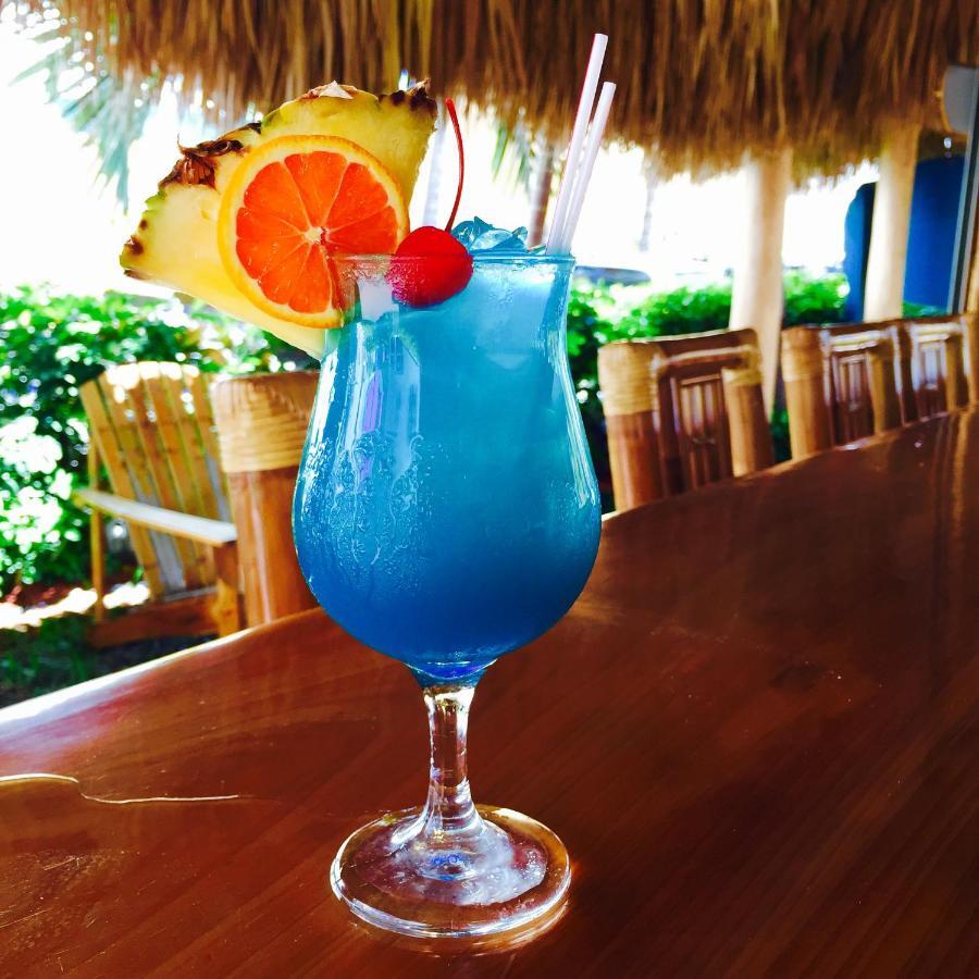 Caribbean By The Ocean Hotel Hollywood