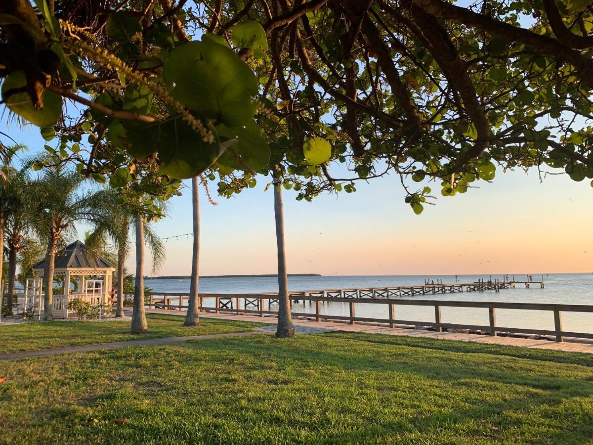 Tampa Bay, Step Away, Wifi, Free Parking,pools, Jacuzzi
