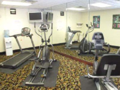 La Quinta By Wyndham Hotel Tampa