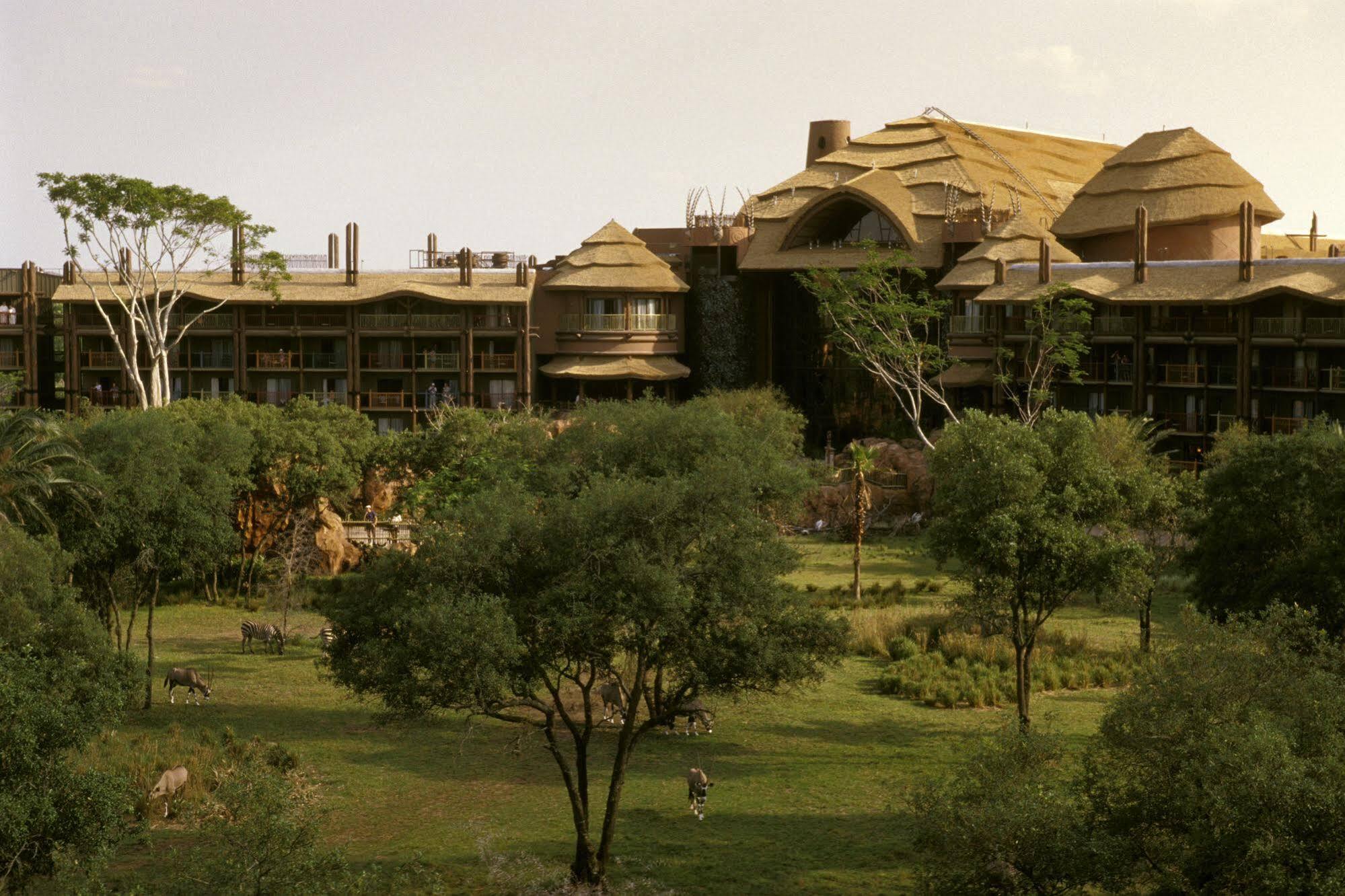Disney's Animal Kingdom - Jambo House 4* Celebration