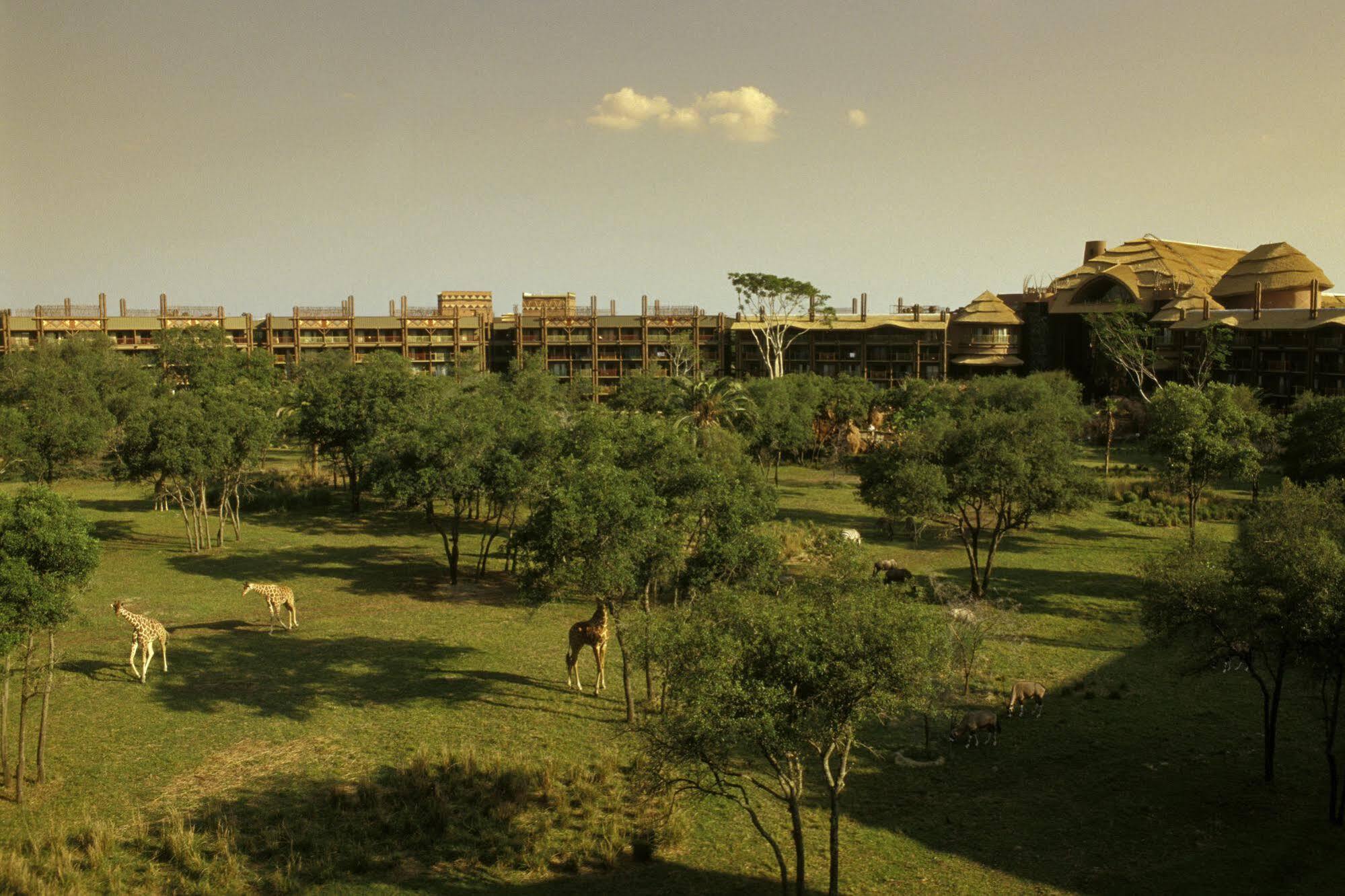 Disney's Animal Kingdom - Jambo House Celebration