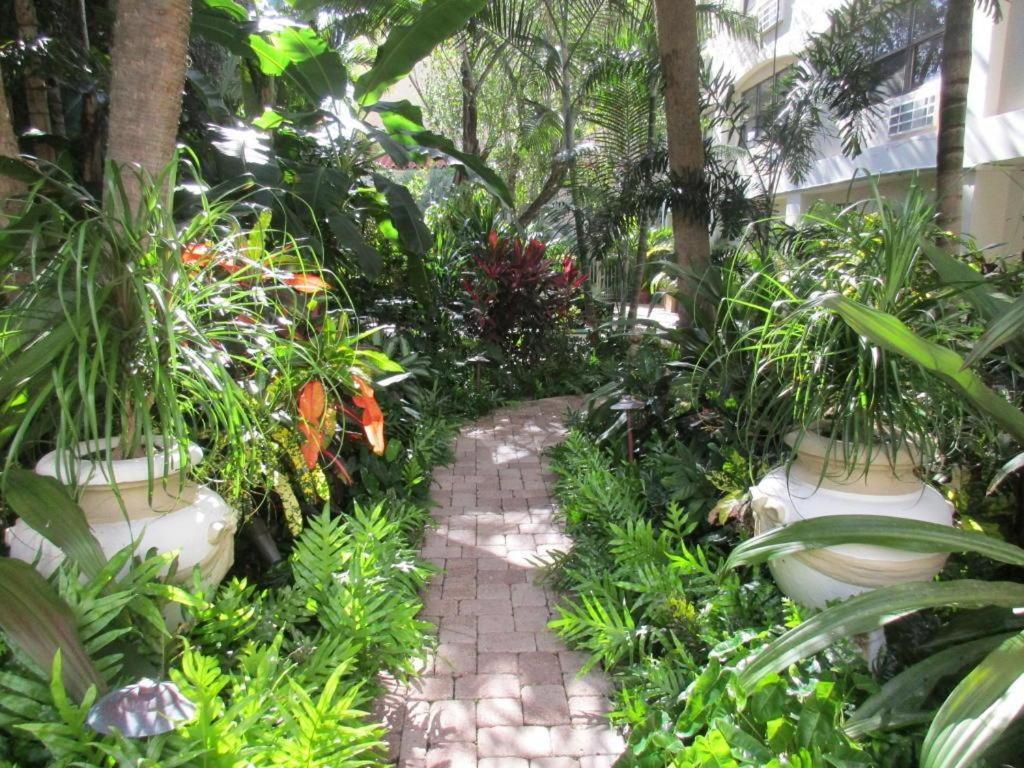 Hemingway At Palm Island 3*