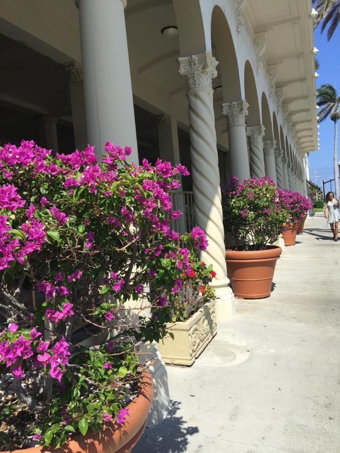 Aparthotel Hemingway At Palm Island 3*
