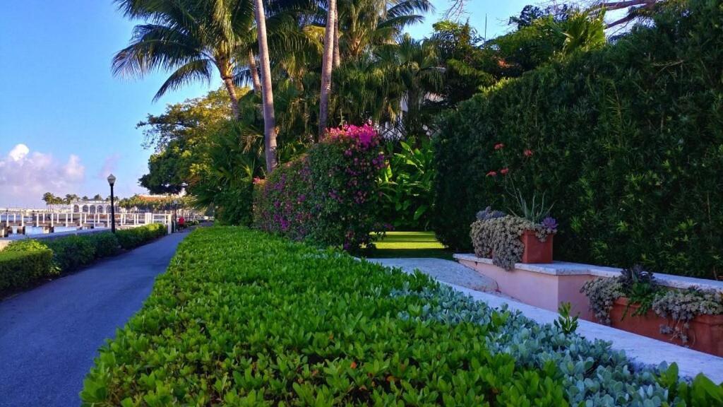 Hemingway At Palm Island