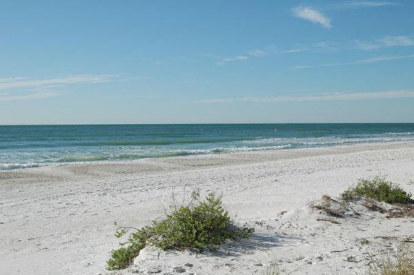 Bradenton Club Three Bedroom Apartment, D