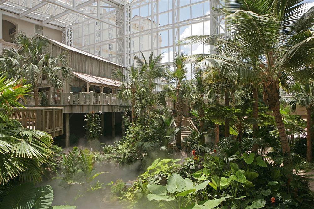 Gaylord Palms & Convention Center 4*