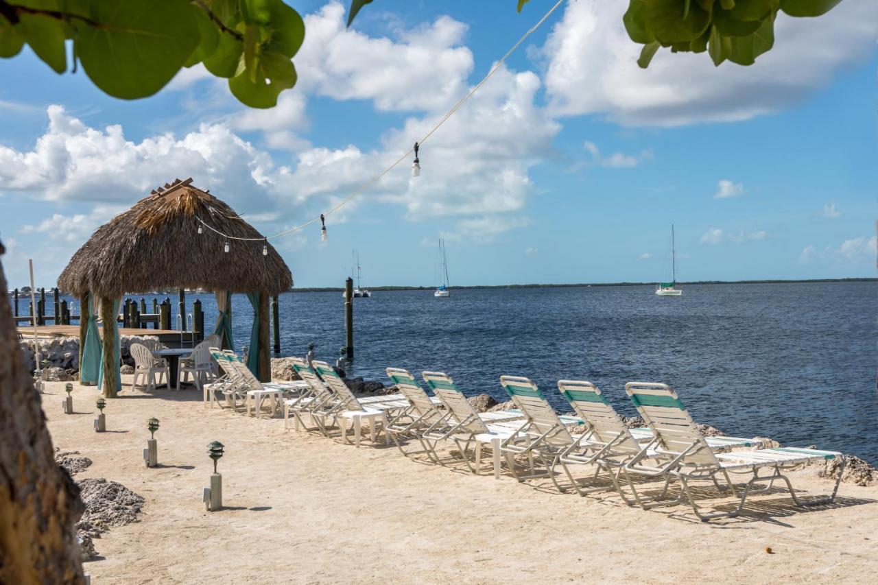 Amoray Dive Key Largo