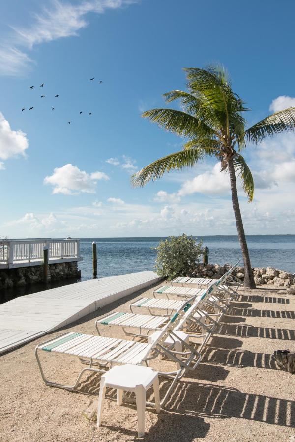 Hotel Amoray Dive Key Largo