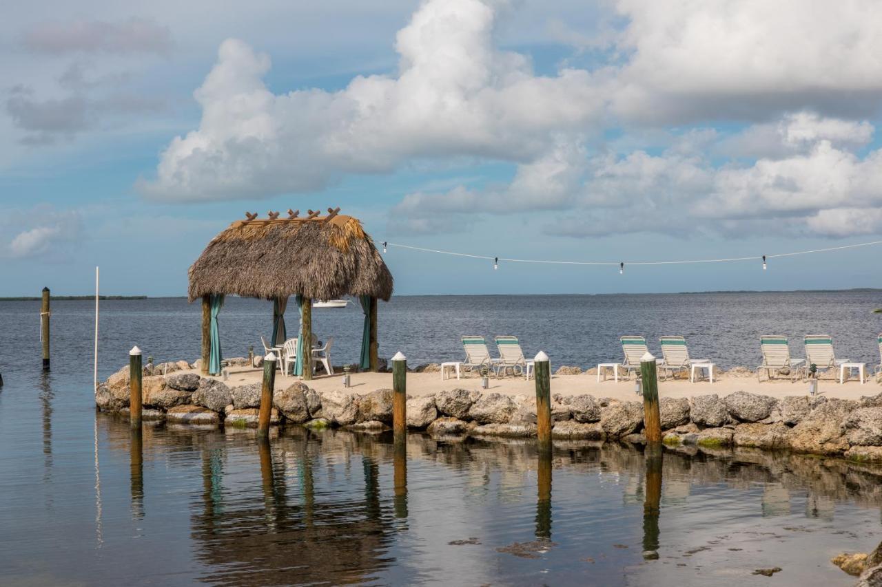 Hotel Amoray Dive