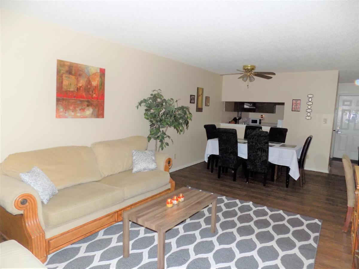 Cozy Comfort Apartment