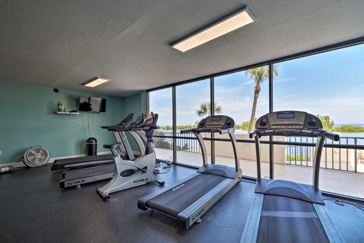 Cozy With Gulf View, Bird Watching And Telescope Apartment *