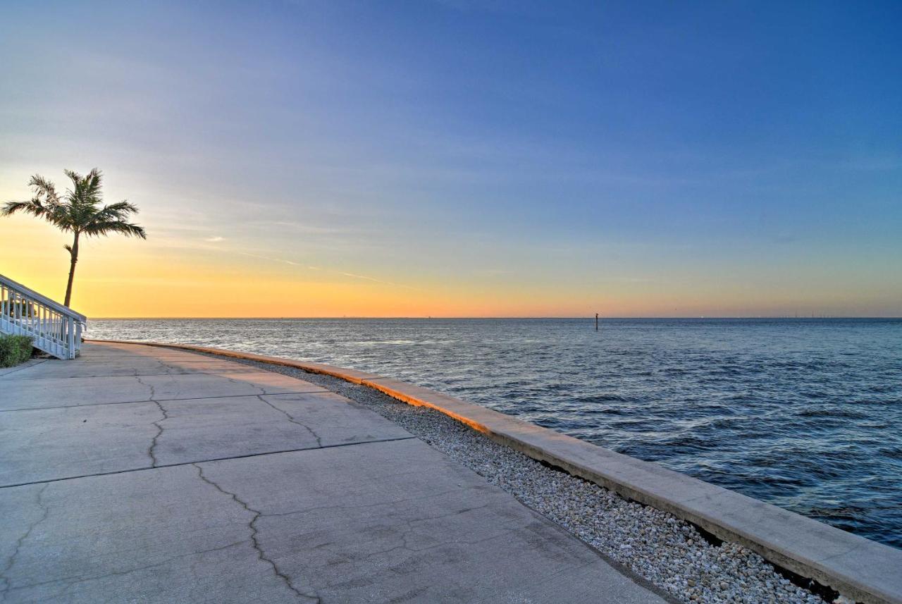 Bayfront 3 Mi To Downtown St Petersburg