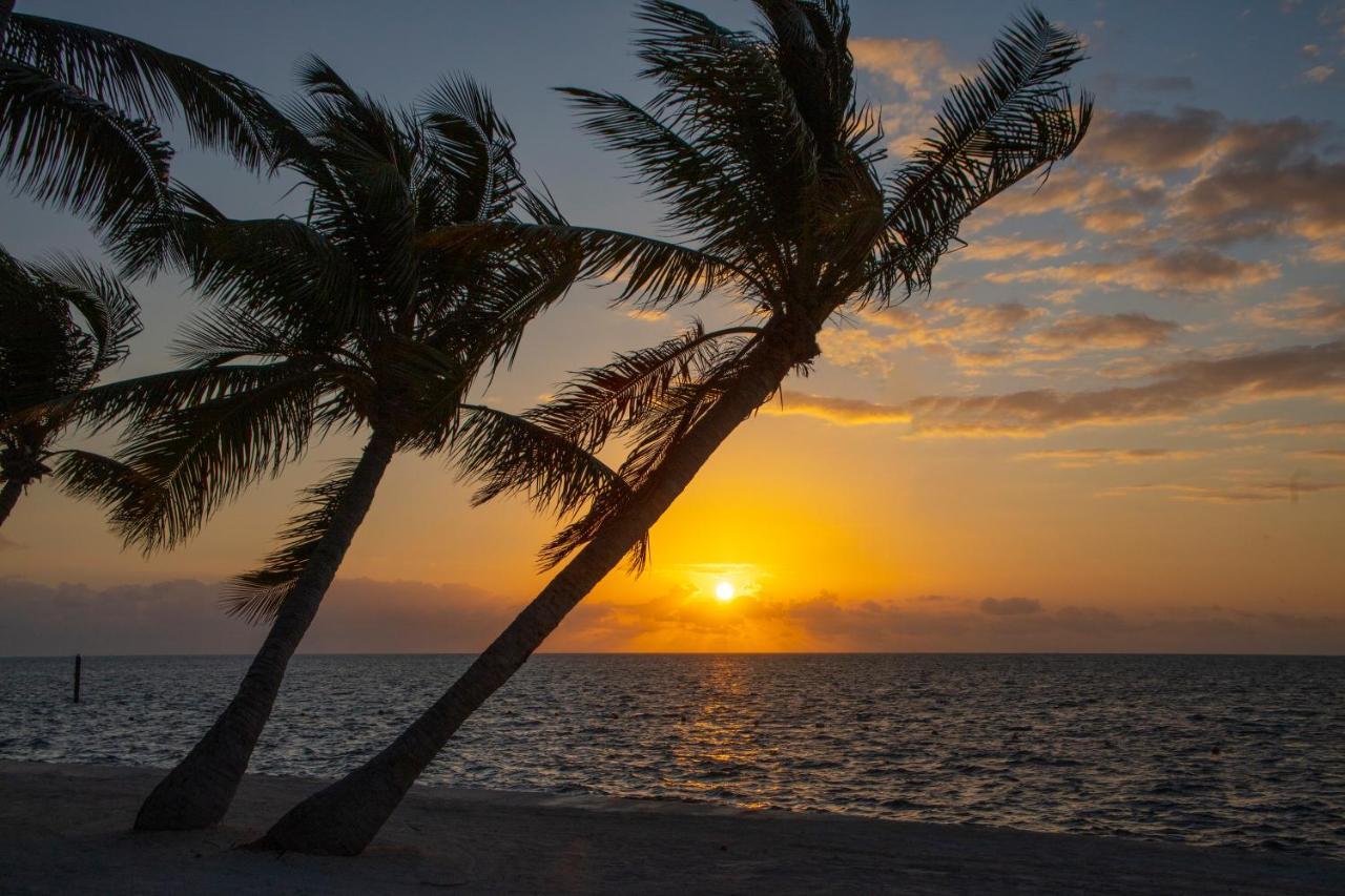 Amara Cay Hotel 4*