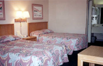 Quality North-tampa Bay Inn
