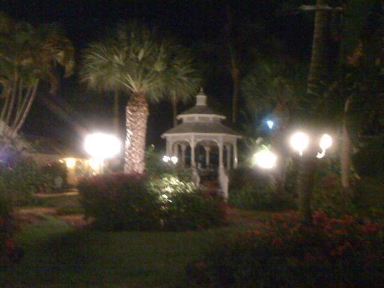 Hotel Lemon Tree