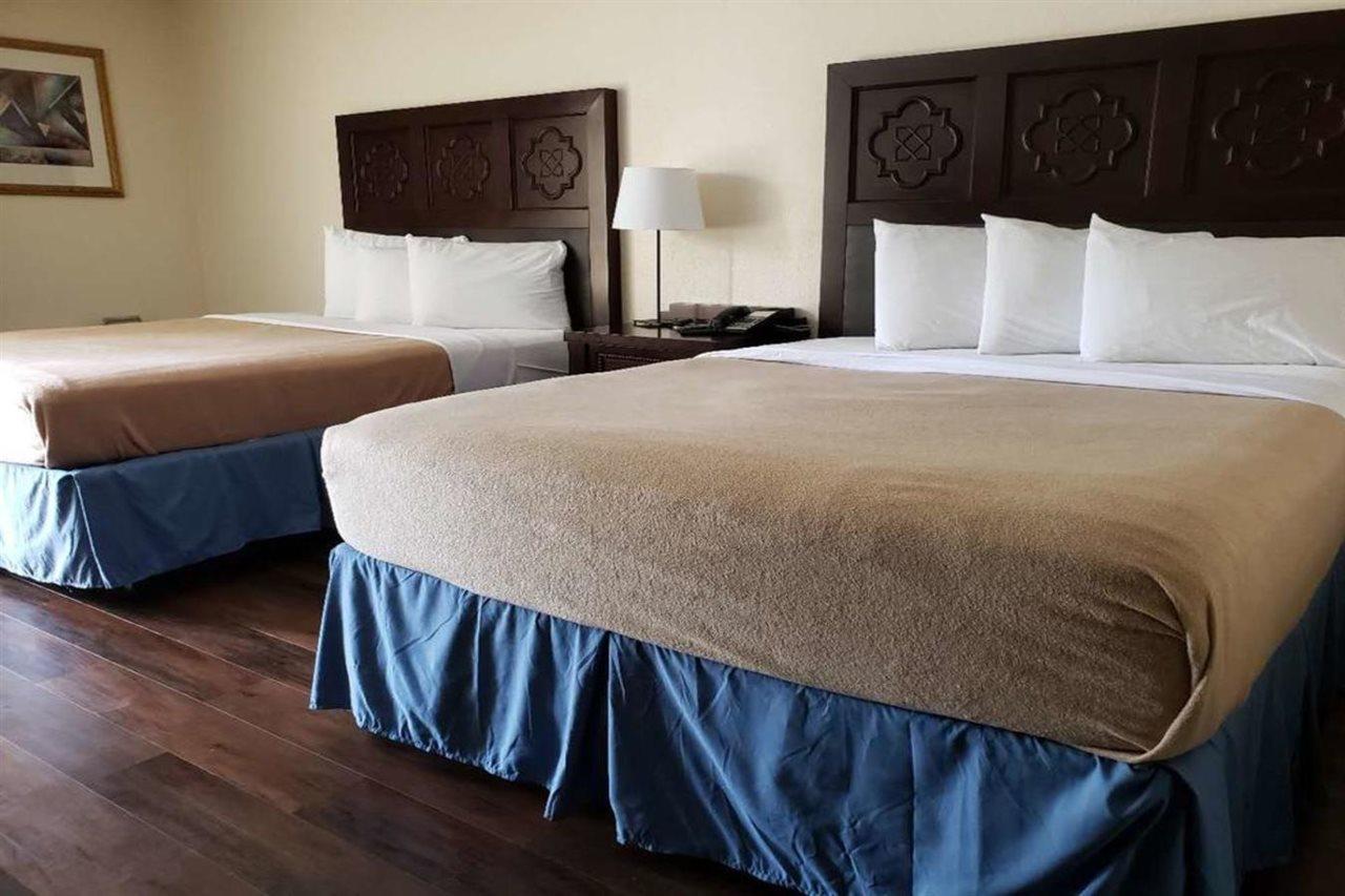 Hotel Garnet & Orlando