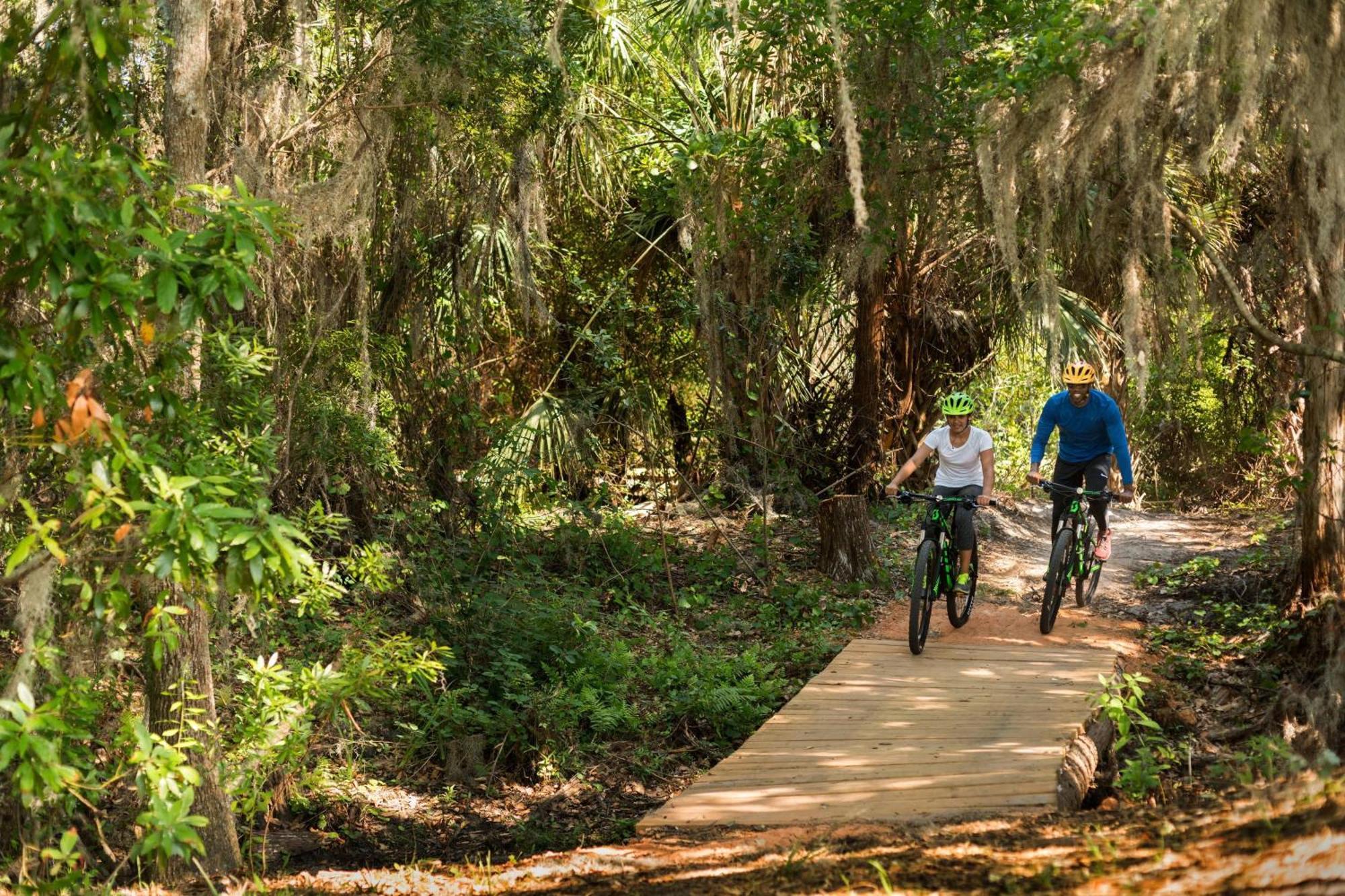 Resort The Ritz-carlton Orlando, Grande Lakes Williamsburg