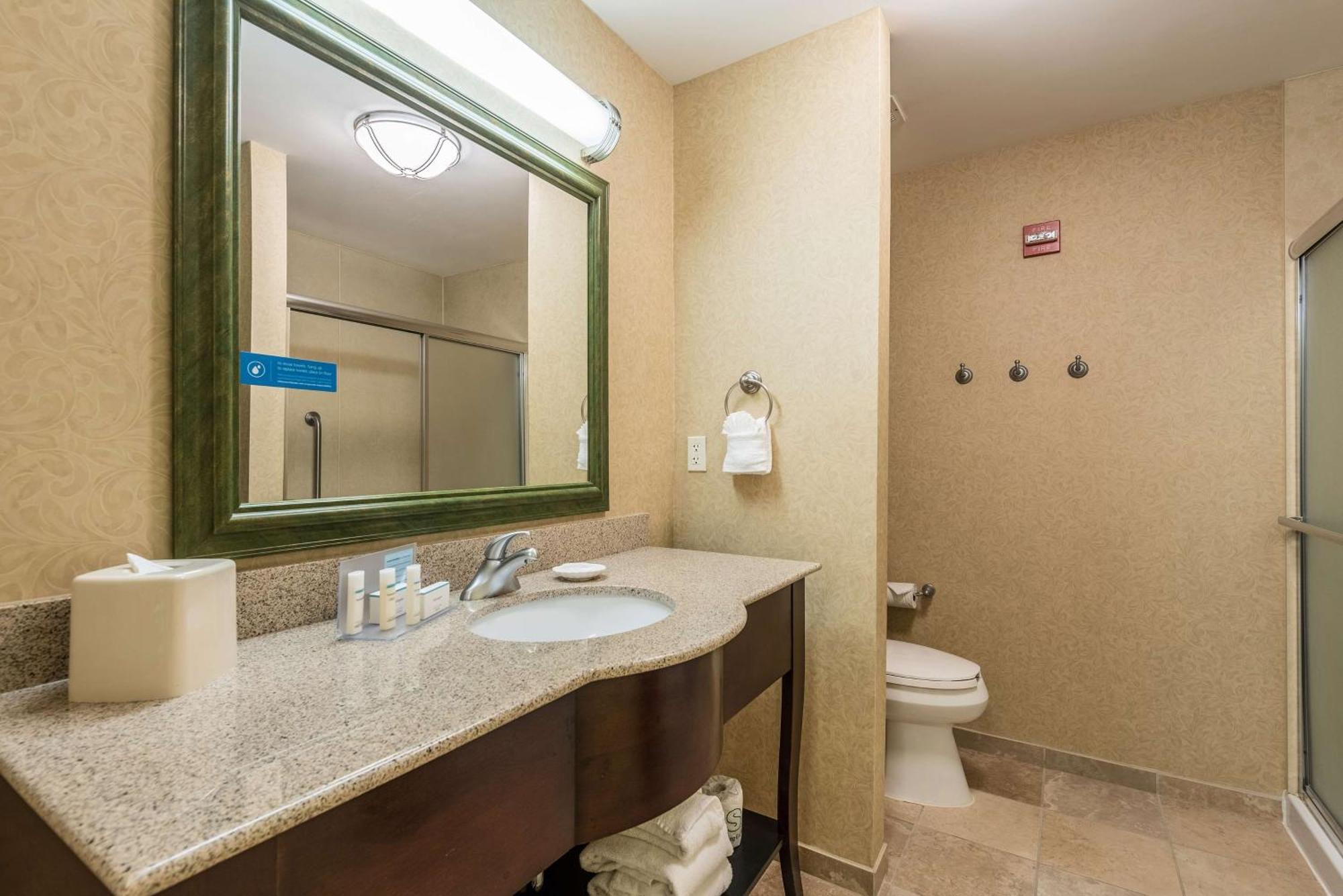Hampton & Orlando-south Buena Vista Hotel Kissimmee