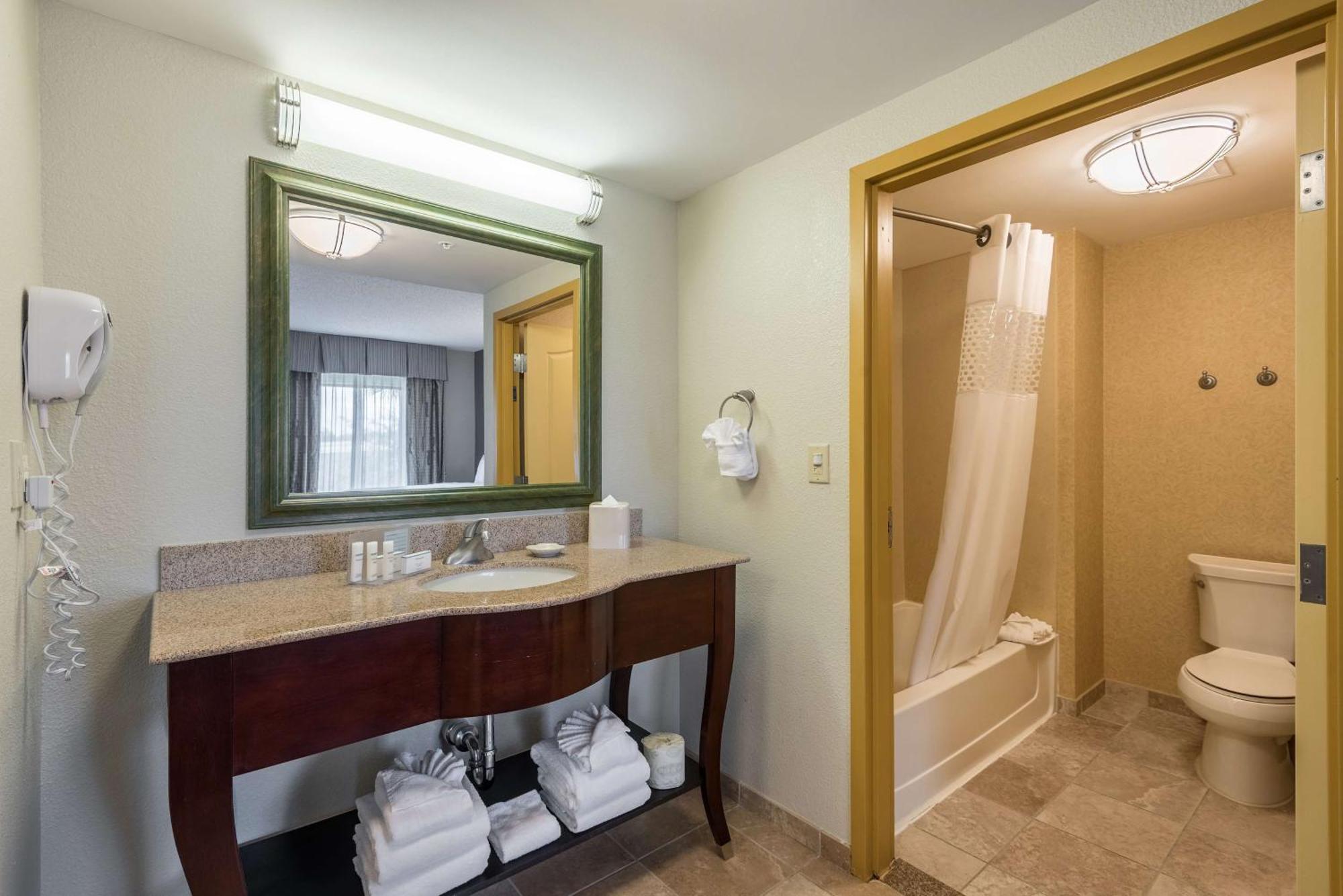 Hotel Hampton & Orlando-south Buena Vista Kissimmee