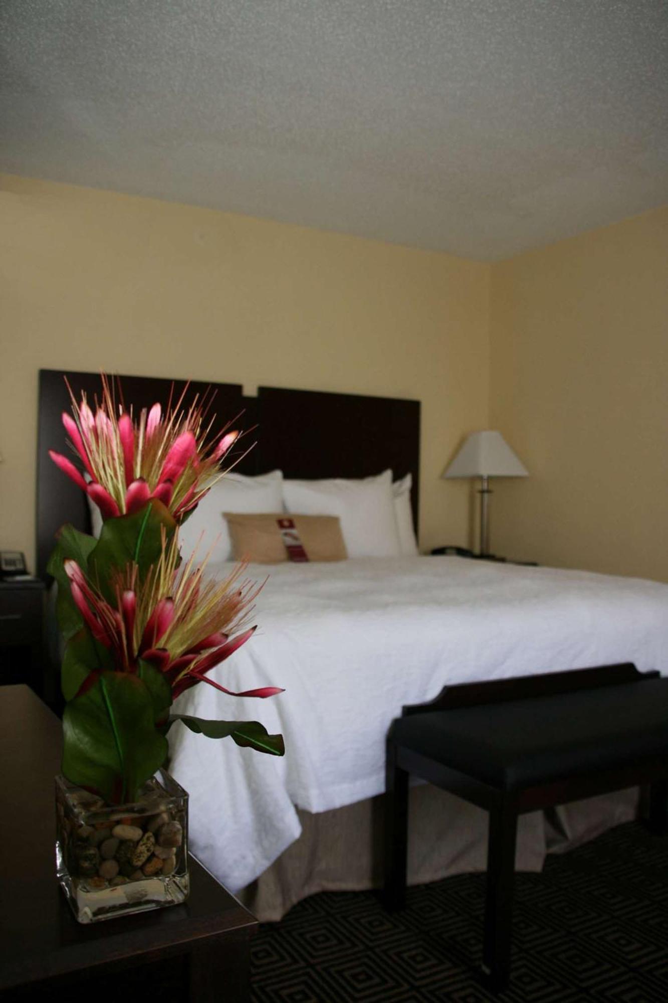 Hampton & Orlando-john Young Parkway/south Park Hotel