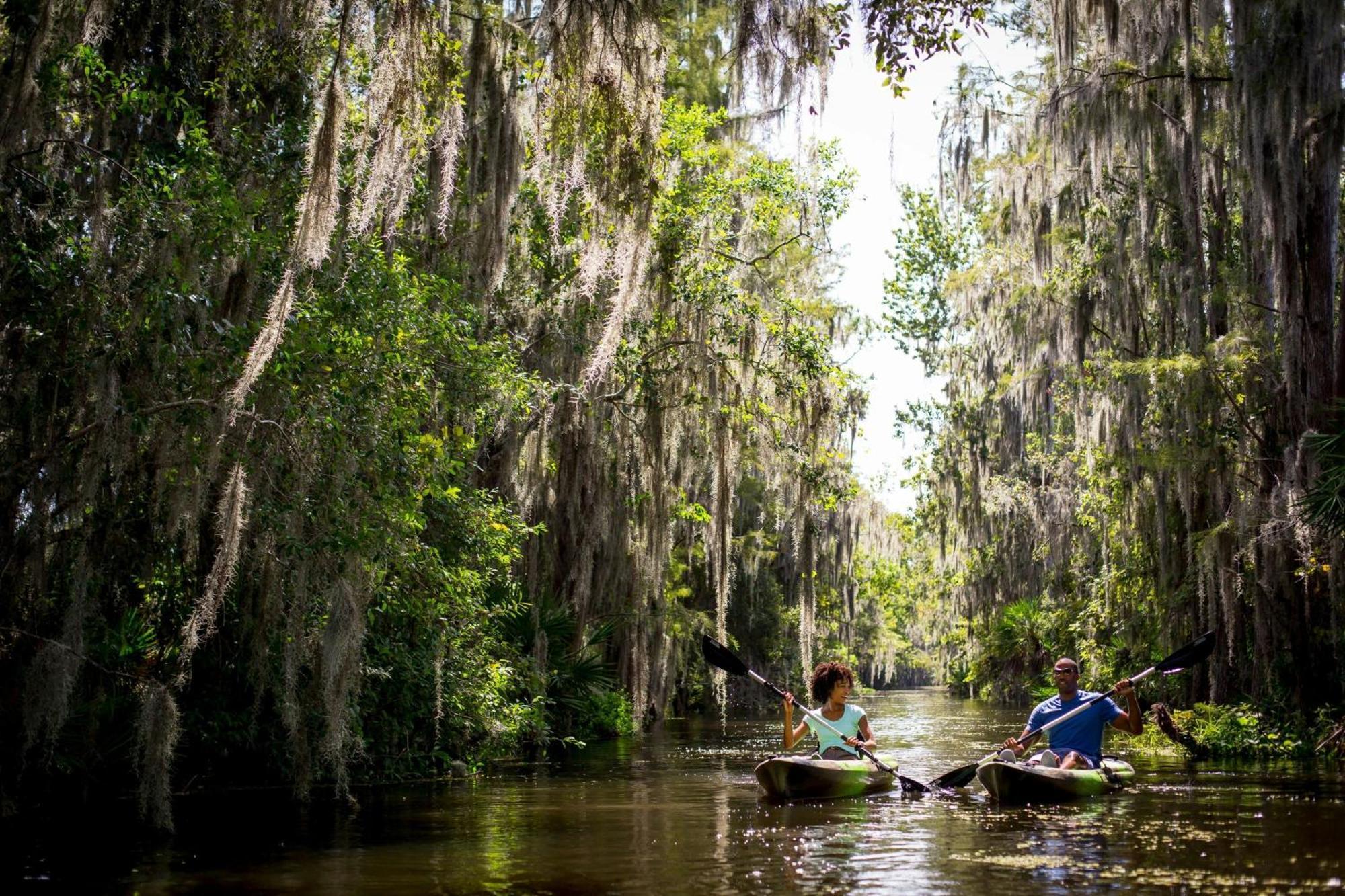 The Ritz-carlton Orlando, Grande Lakes Williamsburg