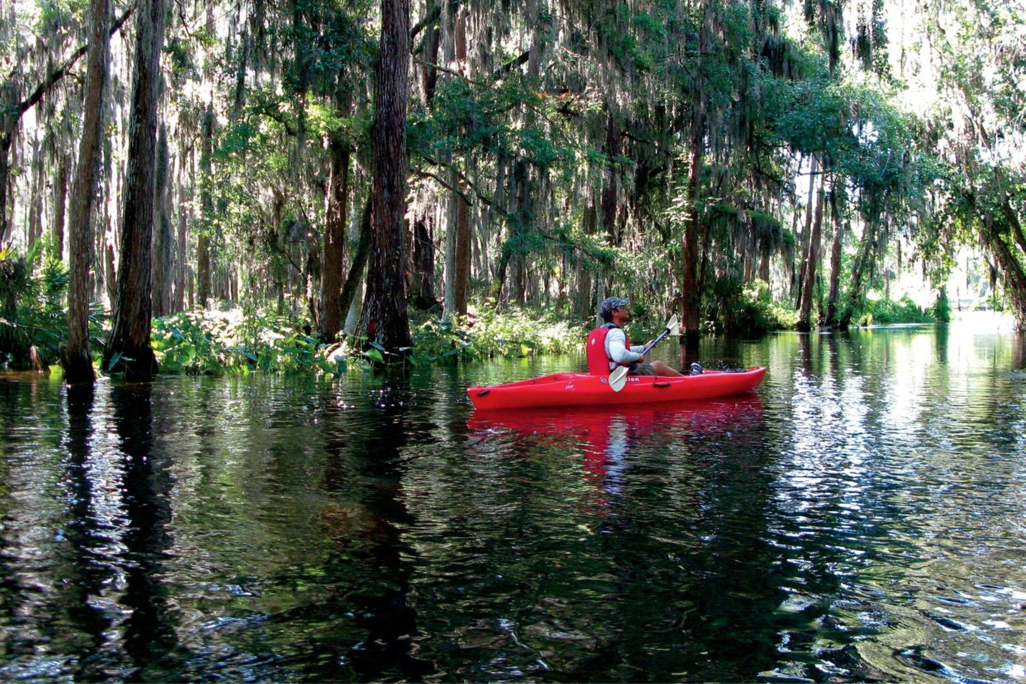 The Ritz-carlton Orlando, Grande Lakes 5* Williamsburg