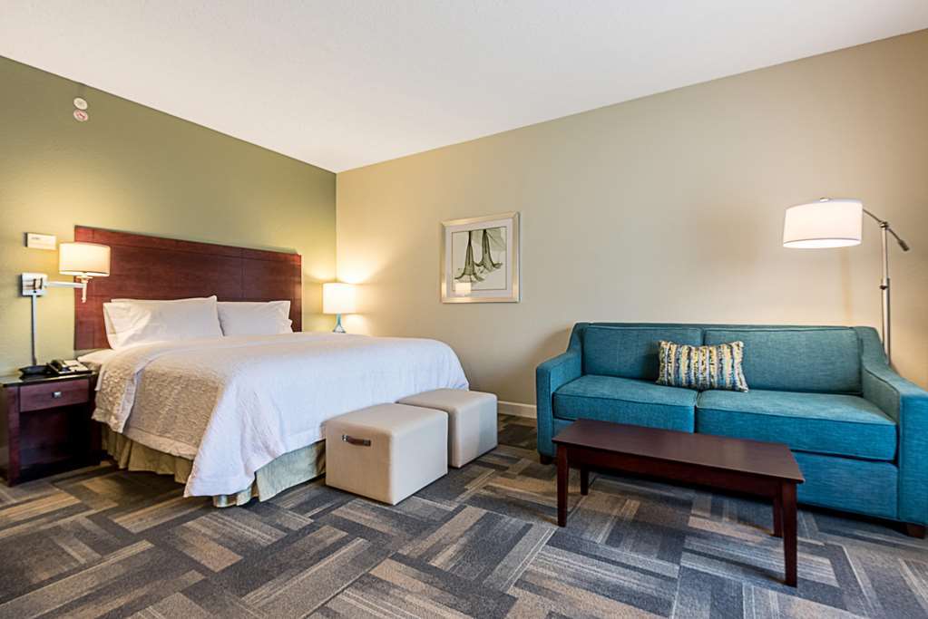 Hampton & Orlando-south Buena Vista Hotel