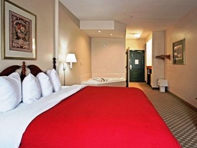 Hotel Majestic Palms 3*