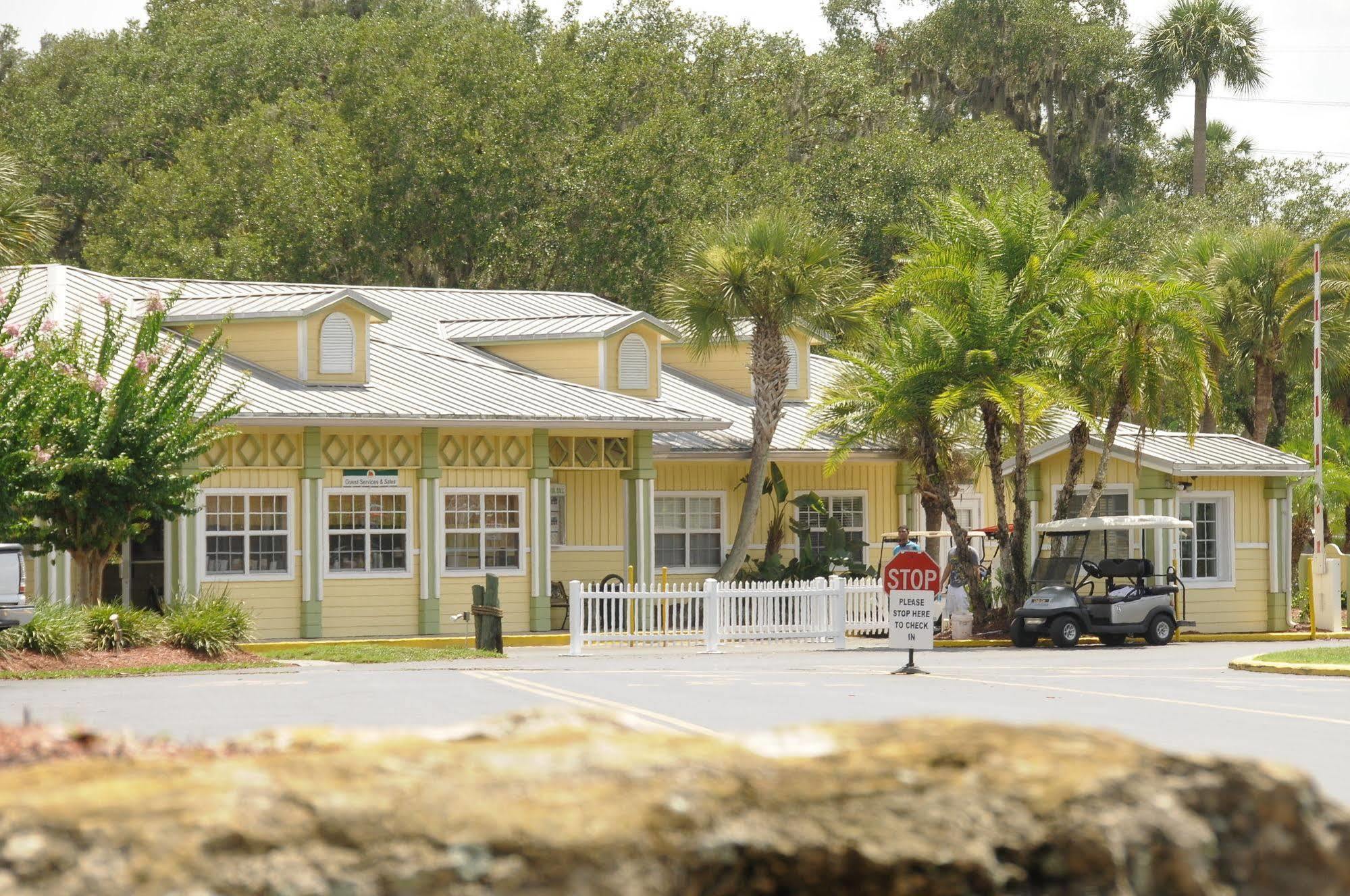 Lodge Tropical Palms &
