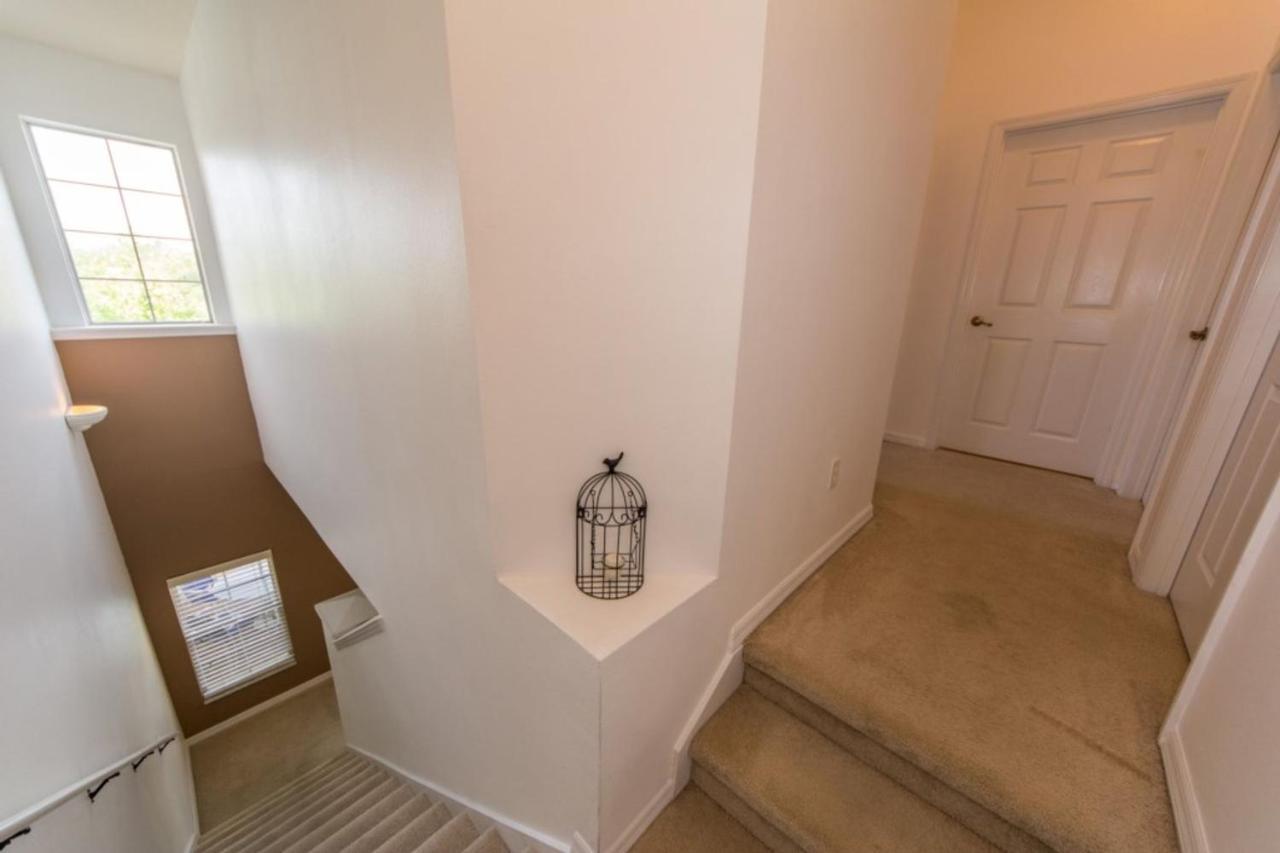 Apartment Encantada 3161