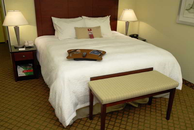 Hotel Hampton & Orlando-south Buena Vista 3*