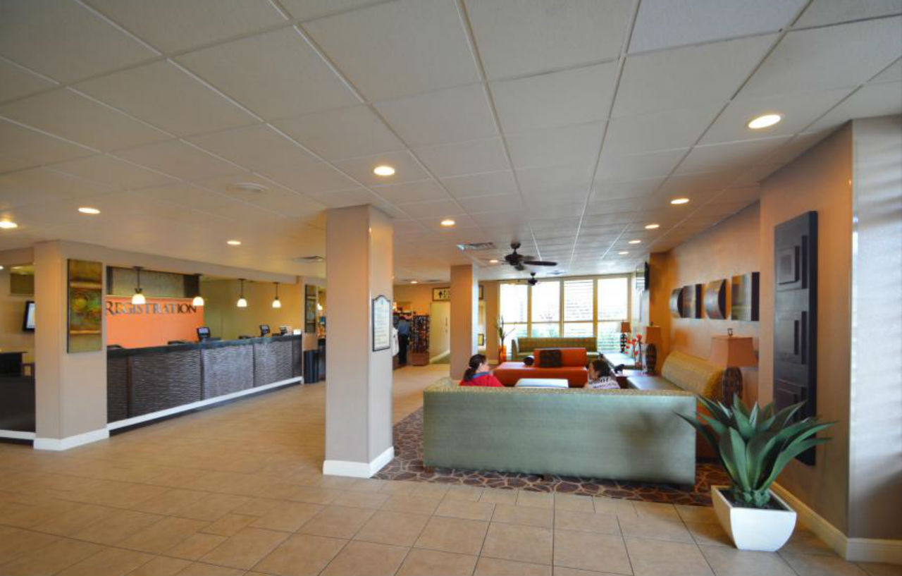 Rosen Closest To Universal Hotel