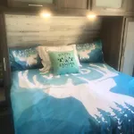 Happys Camper In The Sunshine
