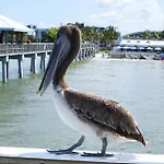 Manatee Bay Inn