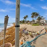 Dania Beach Boardwalk Christmas Retreat Art