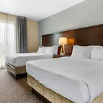 Staybridge Suites St. Petersburg Fl By Ihg
