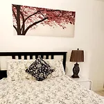 Oasis At Hollywood Unit 6- Sleep 2