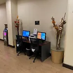 Hampton Inn & Suites Tampa Northwest/Oldsmar
