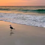 Nautilus 2411 Gulf View 2 Bedroom 4Th Floor Free Beach Service