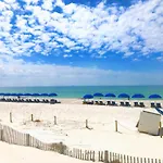 Pelican Walk 802