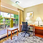 Oasis Boca Raton