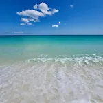Pelican Walk 802