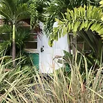Calypso Inn Wilton Gay Male Resort
