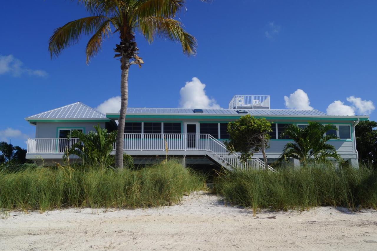 Deer Run On The Atlantic Big Pine Key