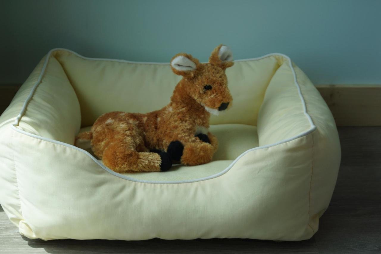 Bed & Breakfast Deer Run On The Atlantic 3*