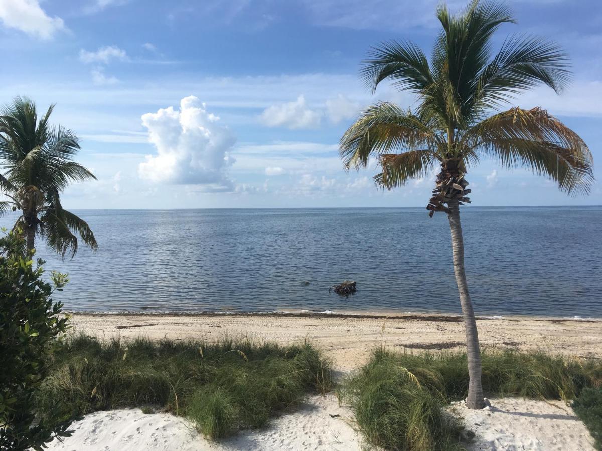 Bed & Breakfast Deer Run On The Atlantic 3*