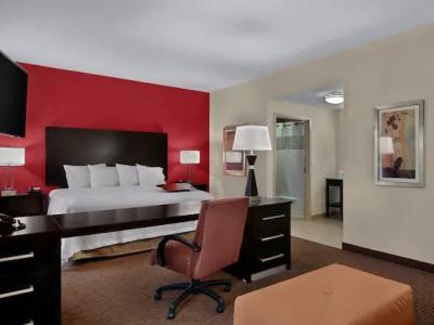 Hotel Hampton & Tampa Northwest/oldsmar Oldsmar