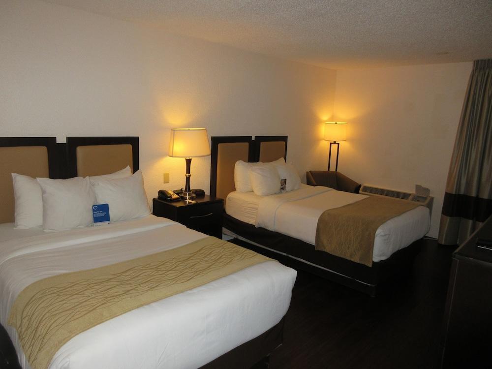Comfort Oceanside Deerfield Deerfield Beach