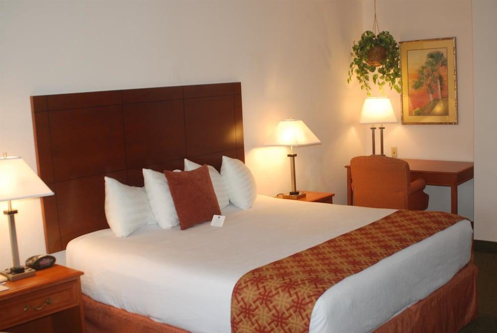 Oasis Hotel